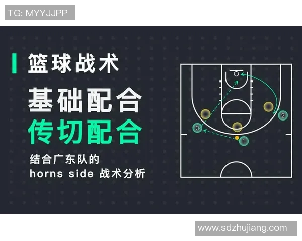 成都篮球队的速度对比深度解析与战术影响探讨