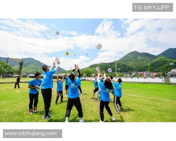 飞盘专题：聚焦武汉飞盘队的技术